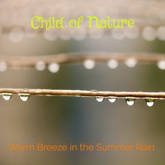 Warm Breeze in the Summer Rain  (Outtake 2025)