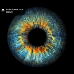 Phi Phi & Ignace Paepe - Into The Abyss (Original Mix) edit