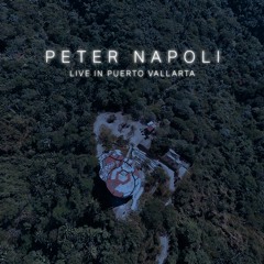 Peter Napoli Live In Puerto Vallarta - Jungle Afters