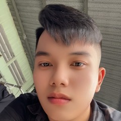 2IN1 TUYỆT TÌNH CA - VIETMIX 2K25 - BÉ ĐÔ SÌ TOO FT BDX REMIX