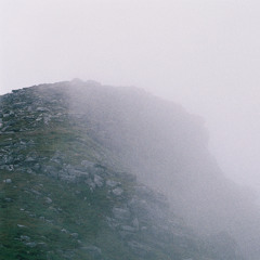 Wind Bears The Cross