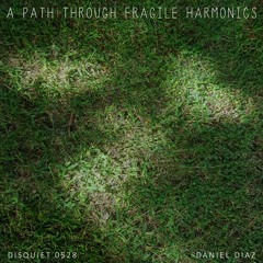 A Path Through Fragile Harmonics (disquiet0528)