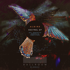 AlBird - Kestrel (Tomas Otero Remix)