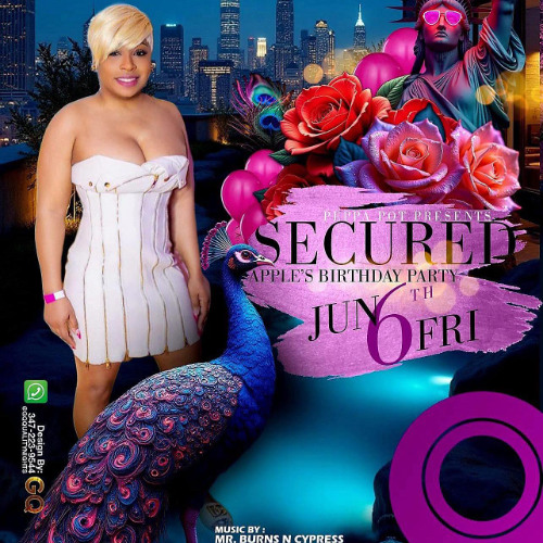 SECURED APPLE BIRTHDAY PARTY DJ BURNS & CYPRESS