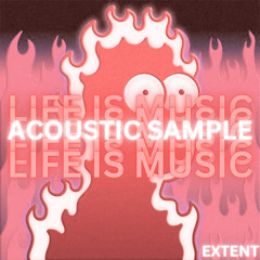 LIFE IS MUSIC | Acoustic Sample