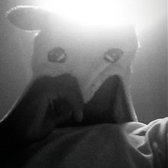 KERO + MONEY (hendrix GBE)