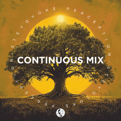 Steyoyoke Perception Vol. 11 [Continuous Mix] | Mixed by Soul Button