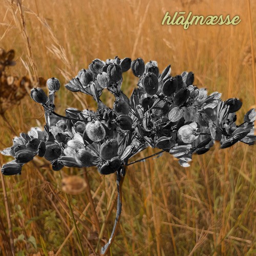 hlāfmæsse