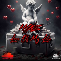 HYNZ - Love of My Life (Sample)