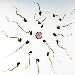 4. Эрэгтэй, эмэгтэй хүний ялгаа