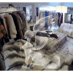 strings in april + still goin