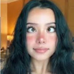 Tiktok$lutz ft ljp2900, priceyxox, hell0kittywh0r3