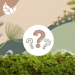 Créatures mystérieuses...qui sommes-nous ?