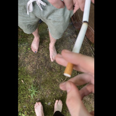 BEEFUS FAVS