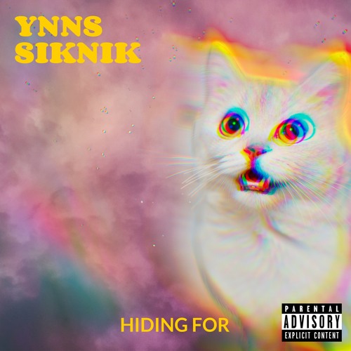 YNNS & SiKNiK - Hiding For