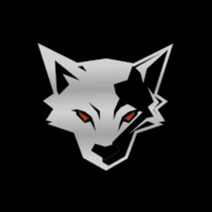SILVERFOX-Софийски Момчета