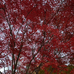 꺼지지않는 불