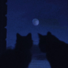 Are you waiting for me?