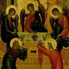 Reflection for 16th Sunday in OT (2025)