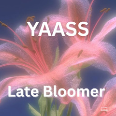 YAASS - Late Bloomer