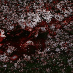 10 MissMeWithThatPettyBishShitJustSquareUp&PunchMeInTheFaceOrFuckOff (prod. WXRST X LILCOMRAG)