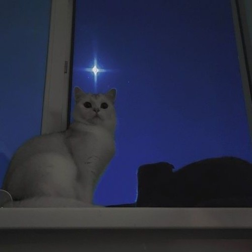 Head First (prod. 4096)