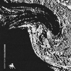484# PREMIERE: Akzelander - Birkenstock [Fast Dogs]