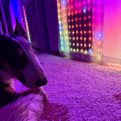 Nobody's heart has TEETH  like mine MASHUP