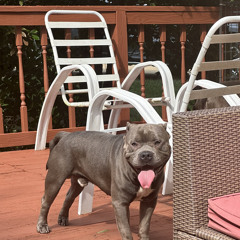 Deceit (prod.dakaraiasad)