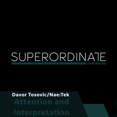 Davor Tosovic/Nae:Tek - Interpretation [Superordinate Dub Waves]