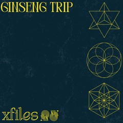 Ginseng Trip [yung lean flip]