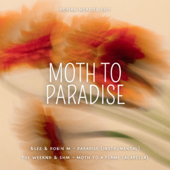 MOTH TO PARADISE (DORIAN MERCIER EDIT)