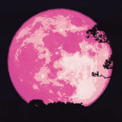 Jd! - MOON! (prod. erealize) [7SHENE EXCLUSIVE]