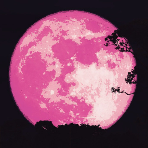 Jd! - MOON! (prod. erealize) [7SHENE EXCLUSIVE]