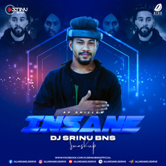 Insane (Smashup) - DJ Srinu BNS