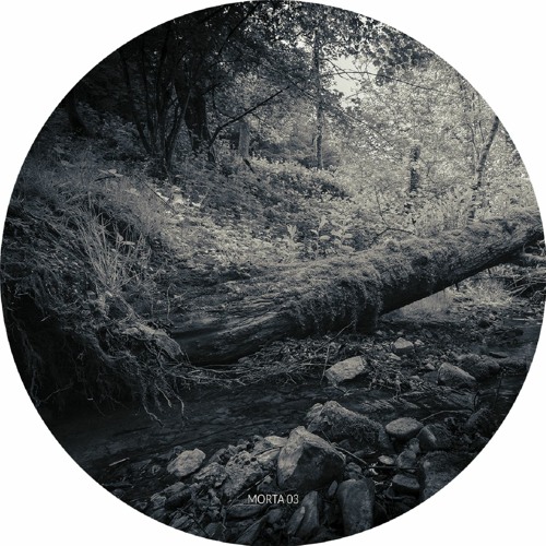 MORTA03 B2 Acidupdub - Saturne