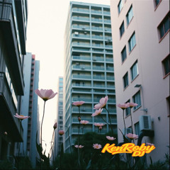 Ashes in Bloom (Dance-Rap-Synth)