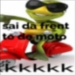 AS NOVINHAS ME CHAMA ASSIM Ó Vs VAI VAI VAI PIRANHÃO