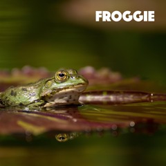 Froggie