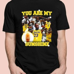 You Are My Sunshine Lebron James T-Shirt