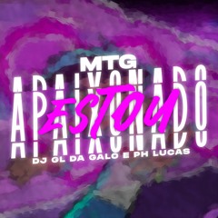 MTG - ESTOU APAIXONADO, FUNK REMIX - LÁBIOS DIVIDIDOS [ GL DA GALO & PH LUCAS ]