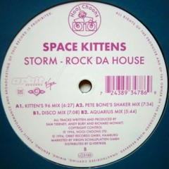 Space Kittens - Storm (Pete Bones Shaker Mix)