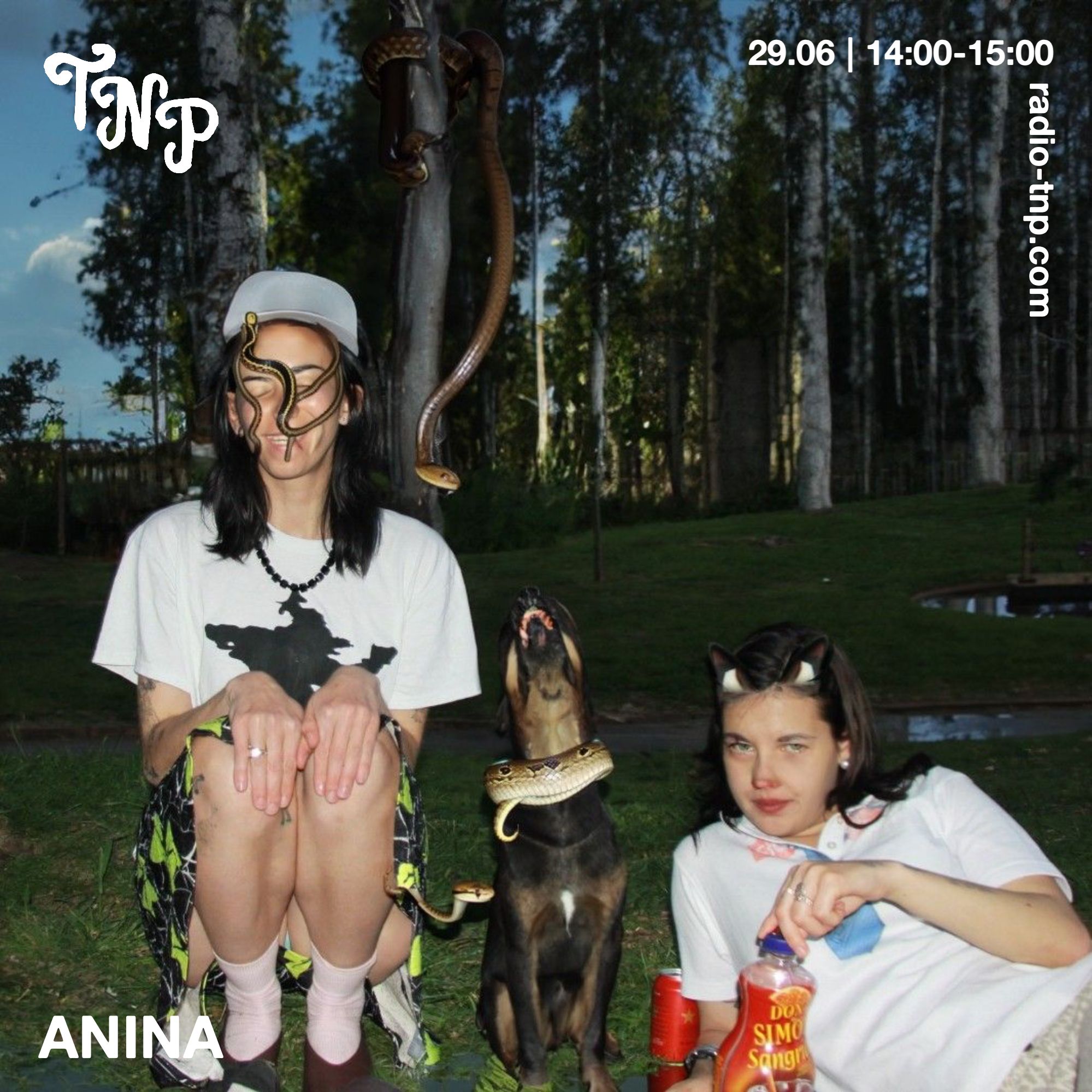 Anina