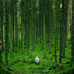 TWINSPIN - ENCHANTED (original Mix)