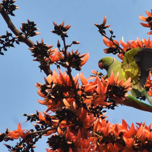 ফাগুন হাওয়ায় হাওয়ায় করেছি যে দান