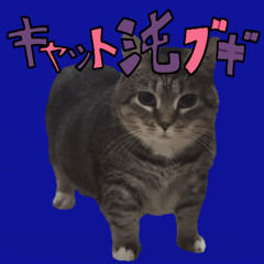 【April Fools】Konton Boogie 【Spinning Cat】