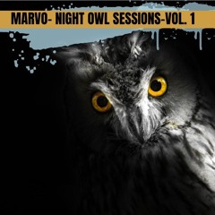 Night Owl Vinyl sessions 11-04-25 House Vinyl