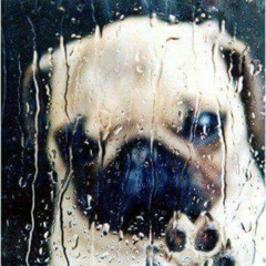 fashionist - fashion (kkei)