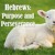 Artwork for “The Marks of Maturity, Part 1” – Hebrews 6:1-6, Pastor Matt Kasper, April 19, 2020