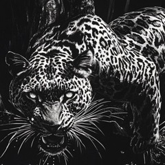Distinct Motive - Mellow Man (Leo Cap Bootleg) FREE DL 14K